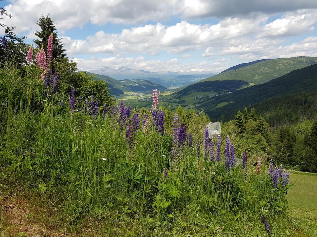 Residenz Monica Top 6 Sankt Margarethen im Lungau Luaran gambar